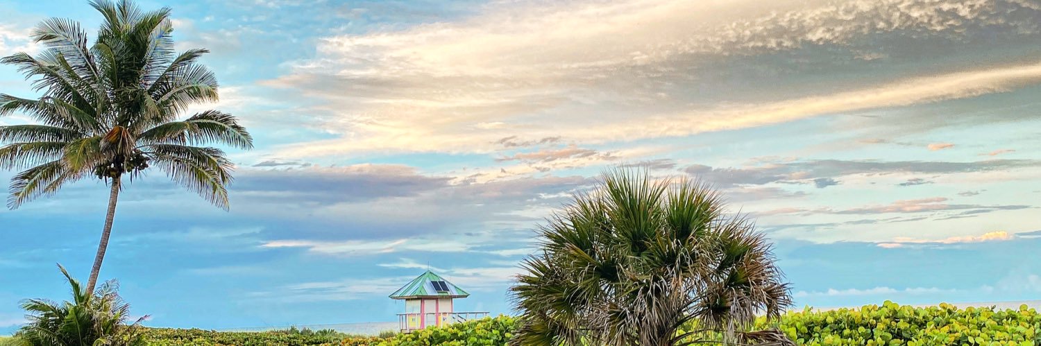 Laíssa Alves banner