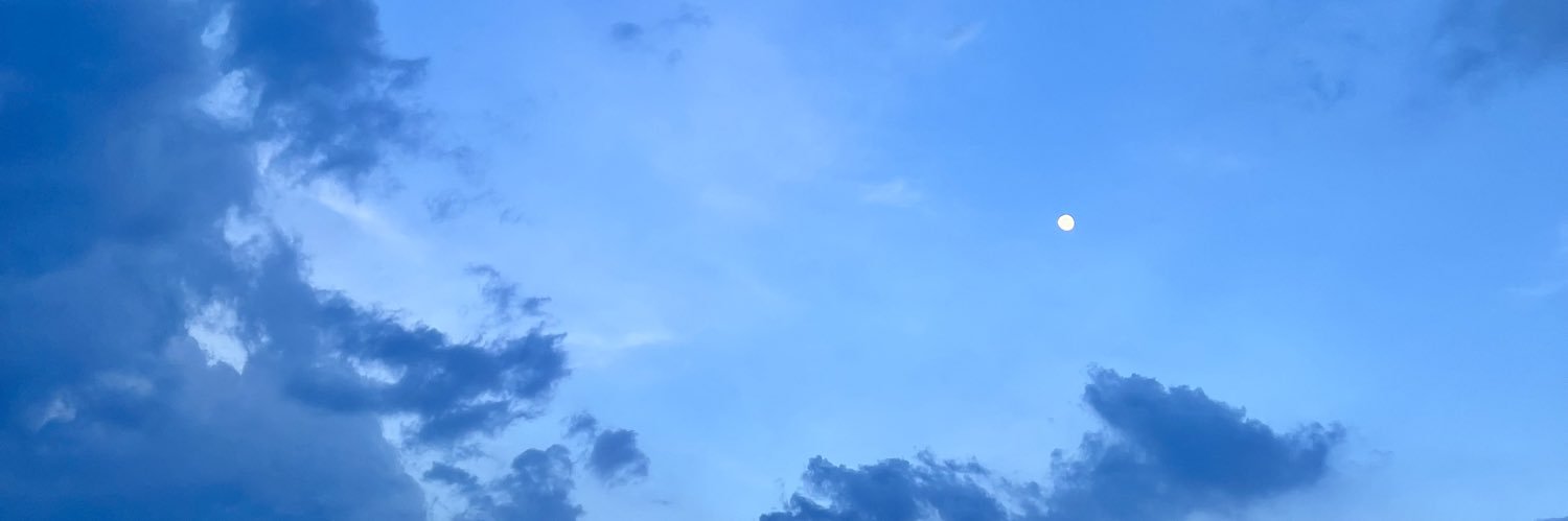 Anissnadiaa's profile banner image