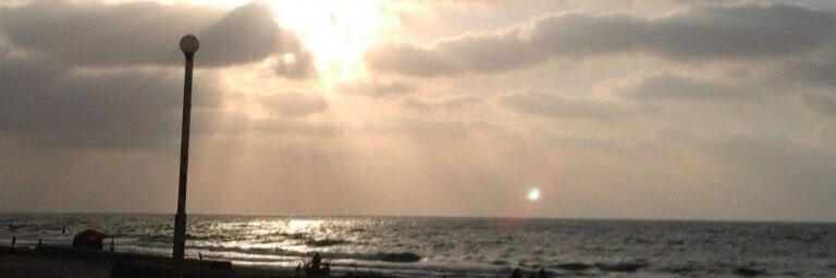 soosoz's profile banner image