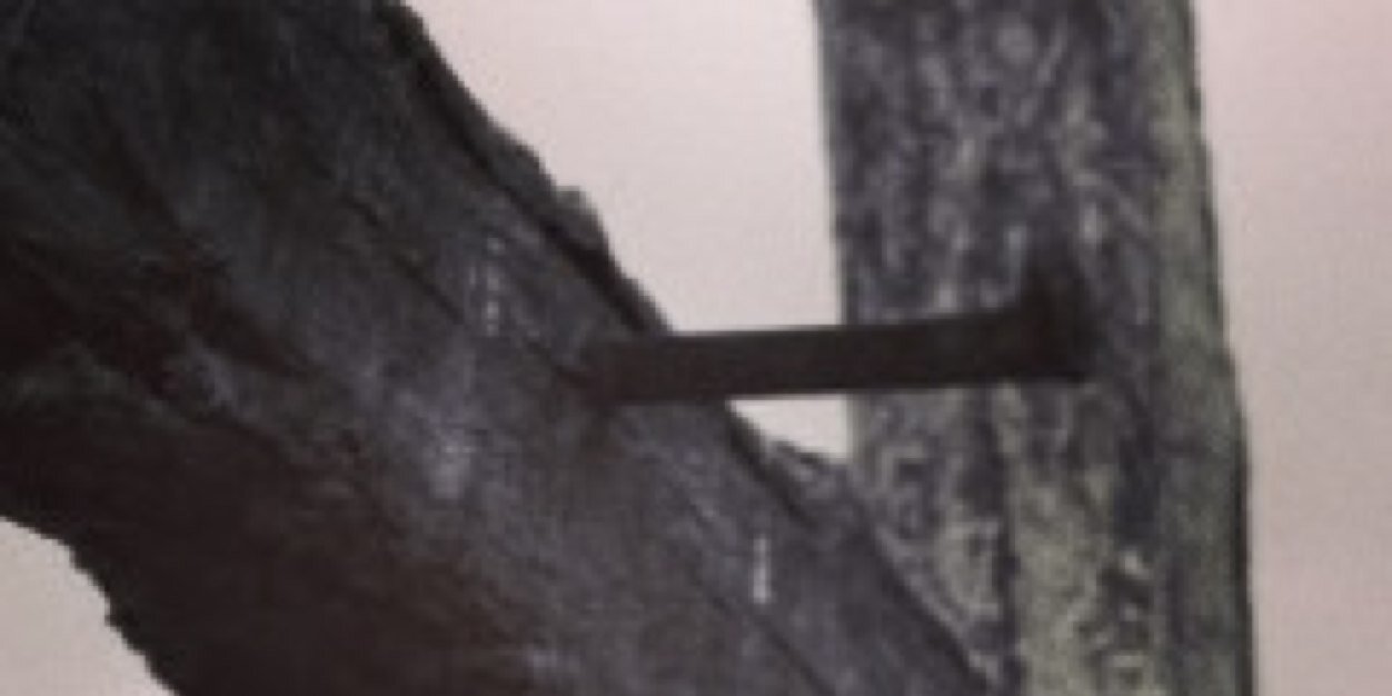 Prospect_Bapt's profile banner image