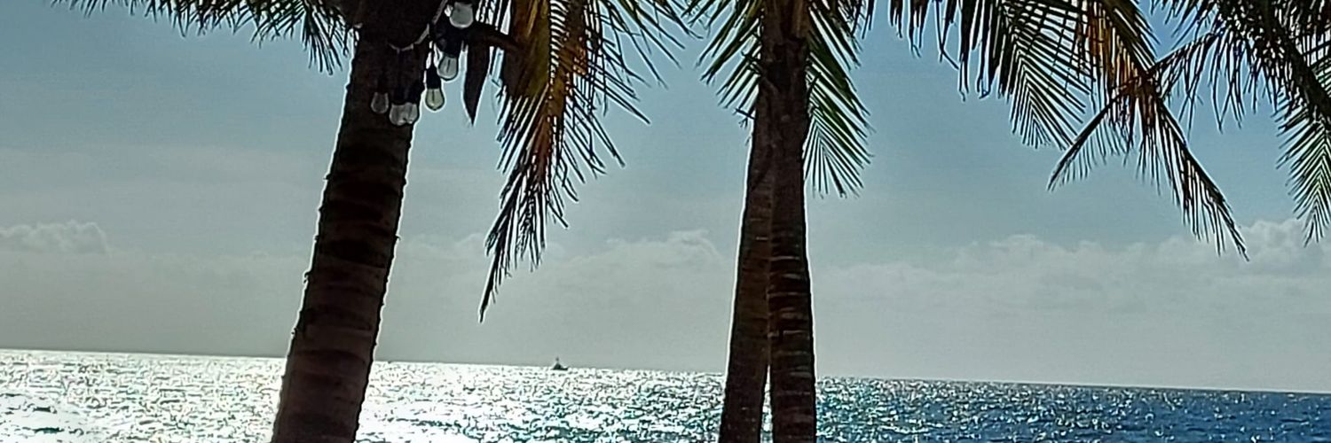 JohanBeukes2's profile banner image
