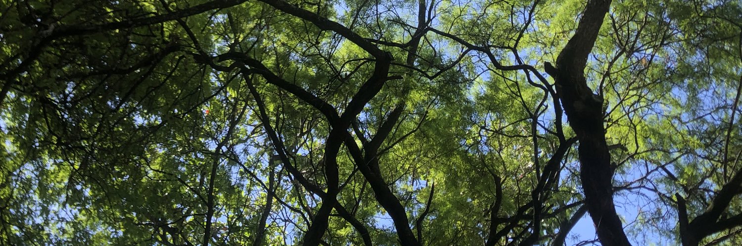 André Amorim banner