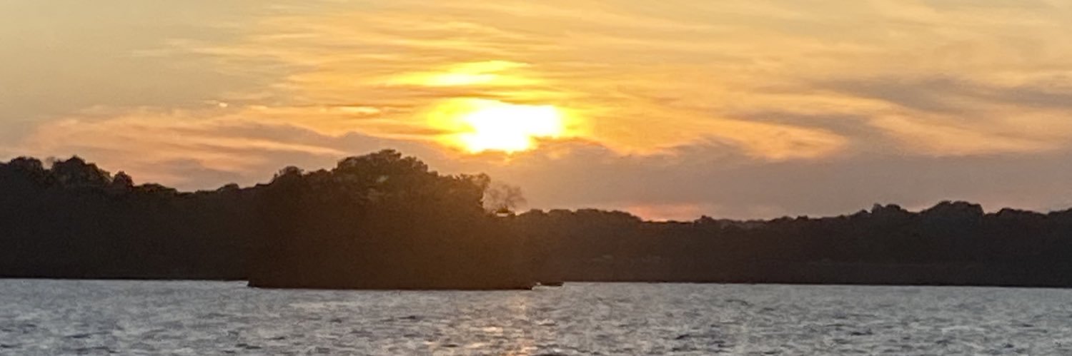 Carissa Roustan banner