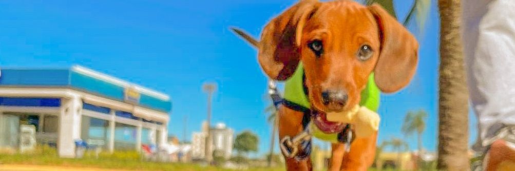 JenniiBorges's profile banner image
