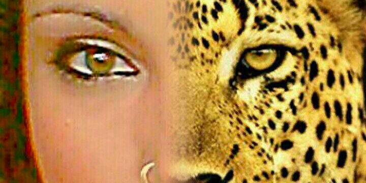 Hannichu's profile banner image