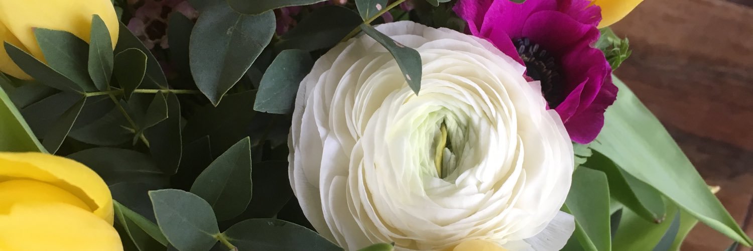 amandaawiberg's profile banner image