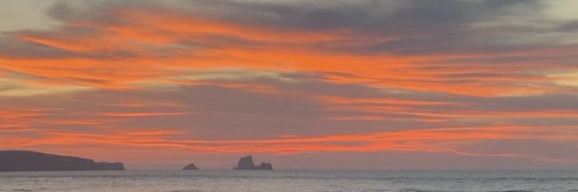 andreagarcia_03's profile banner image