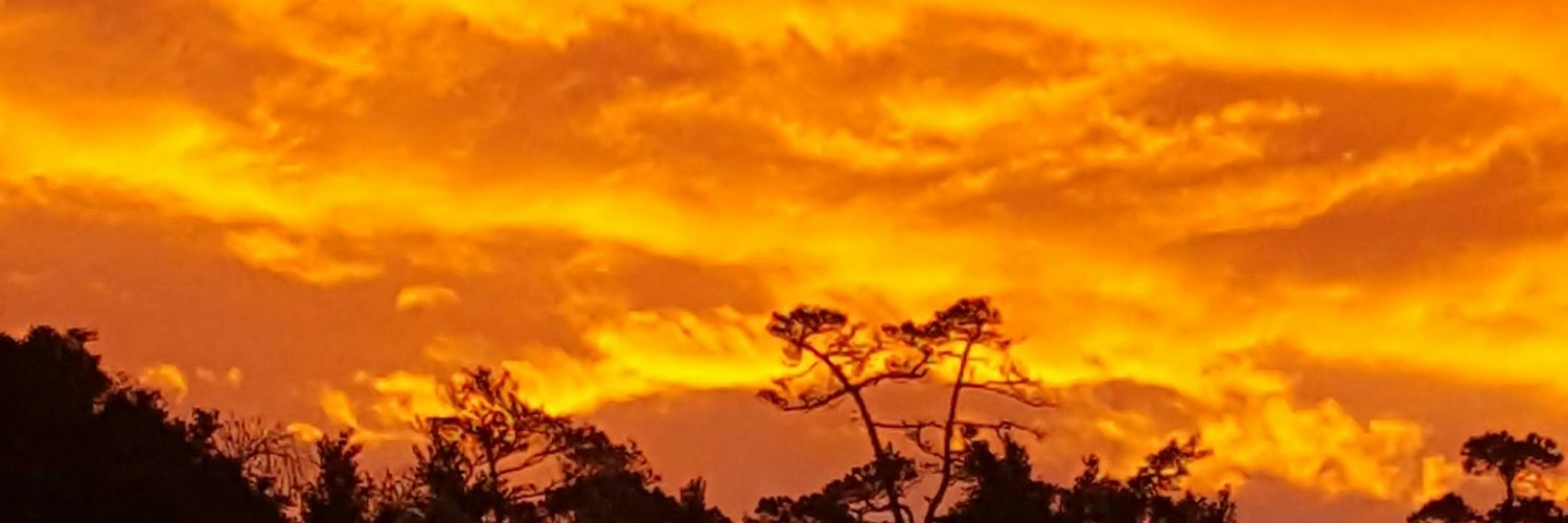 BCampano's profile banner image