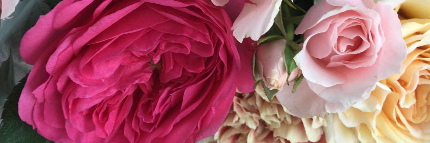 loreelmel's profile banner image