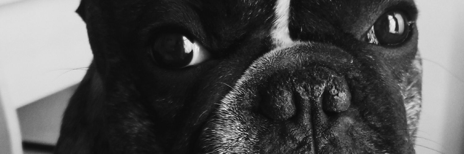 martisansone's profile banner image