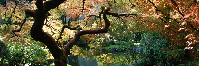 Better than the old name banner