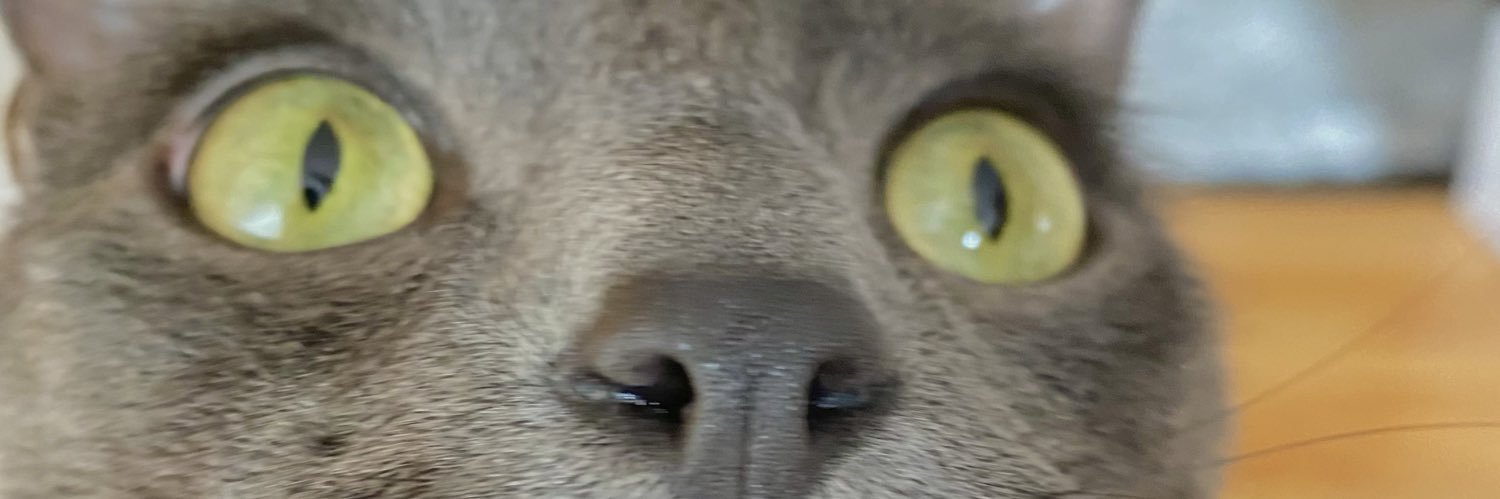MorganOfferdahl's profile banner image