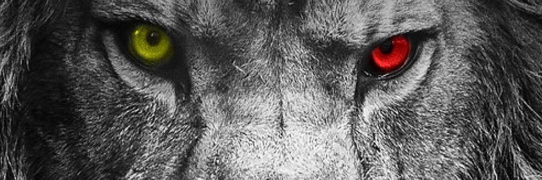 he_se's profile banner image