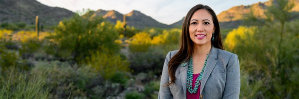 GingerForAZ Profile Banner