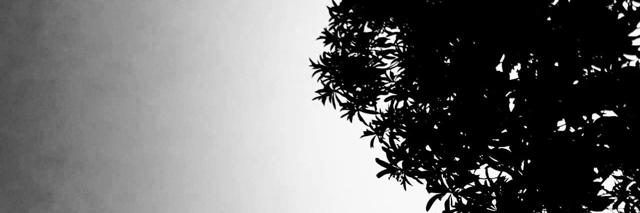 triz banner