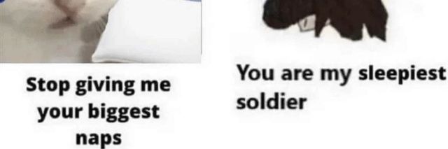 Graubas banner