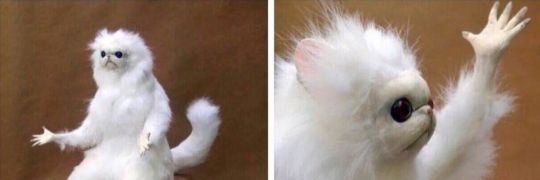 Dominic James banner