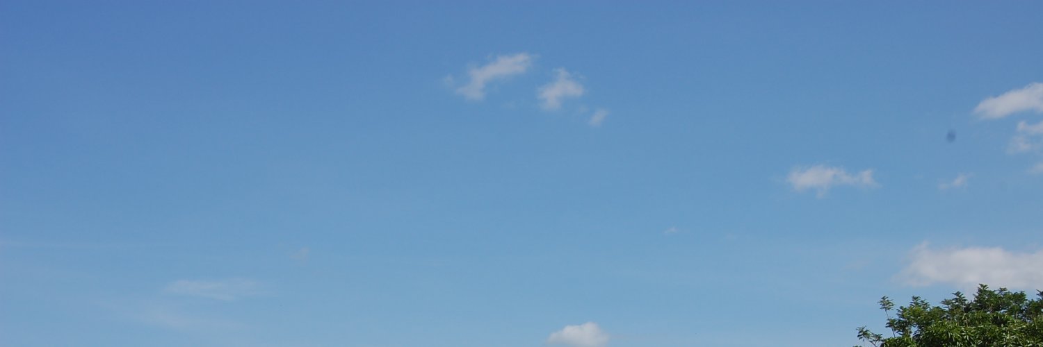 JolaNaibi's profile banner image