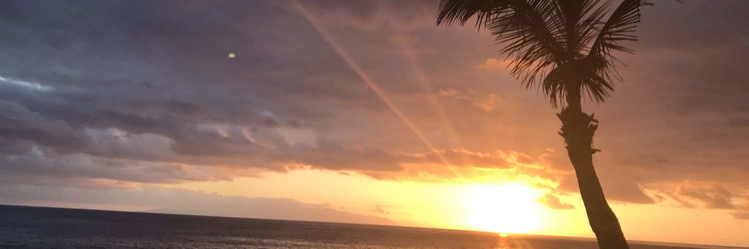gemalunae's profile banner image
