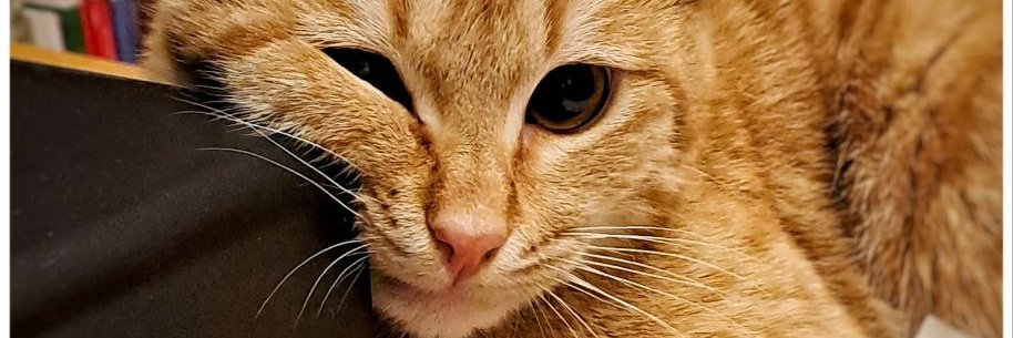 eyegap's profile banner image
