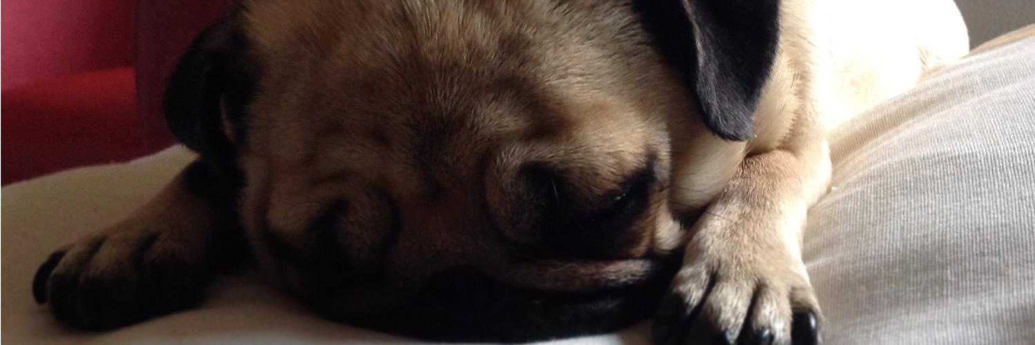 robyvez's profile banner image