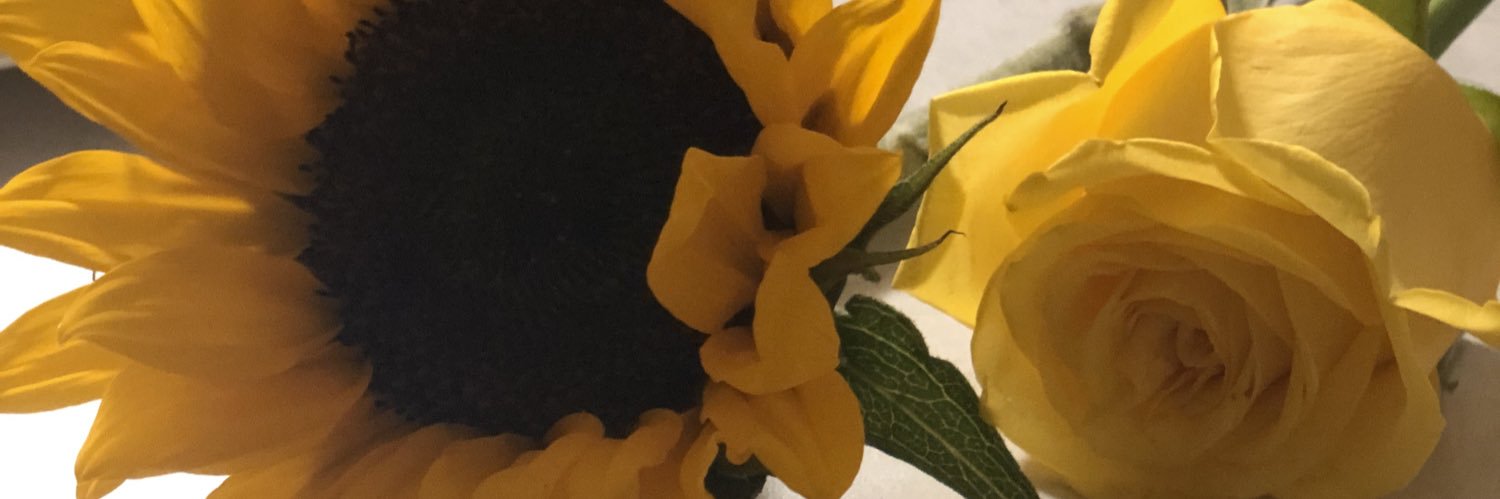 KaitlynPeffer's profile banner image