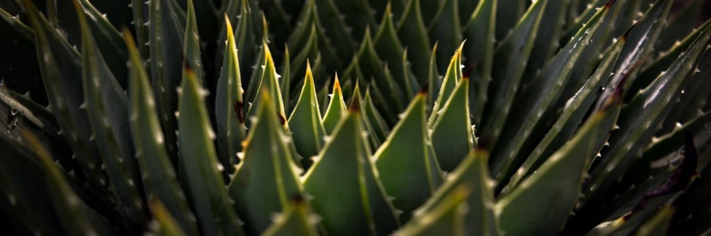 ntatepefole's profile banner image