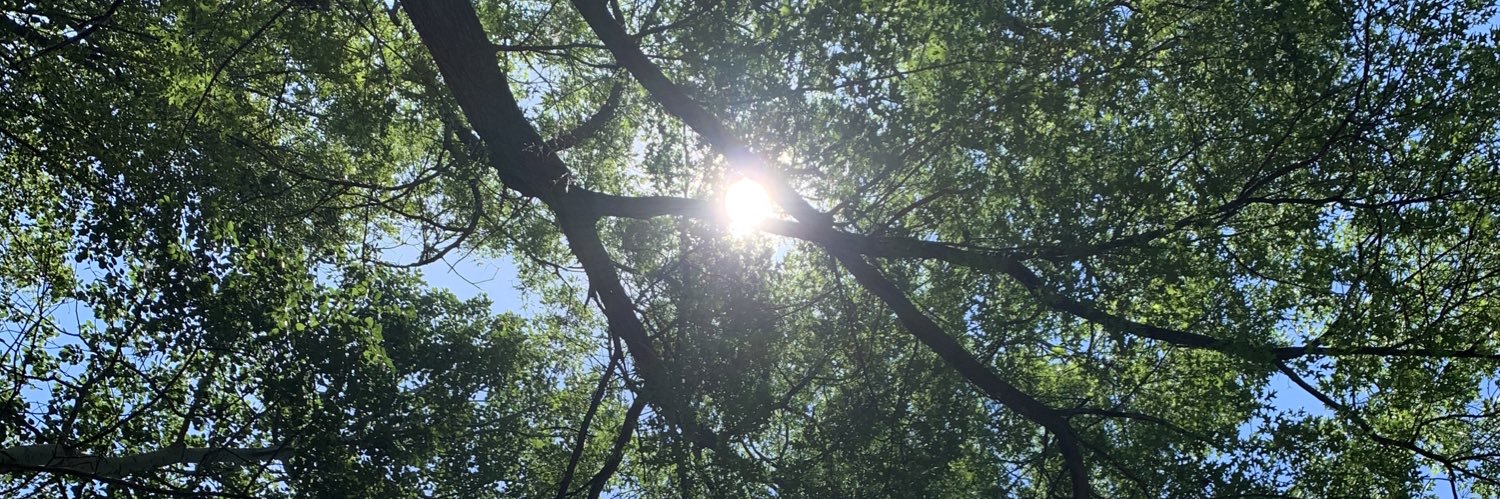 David Biedenbender banner