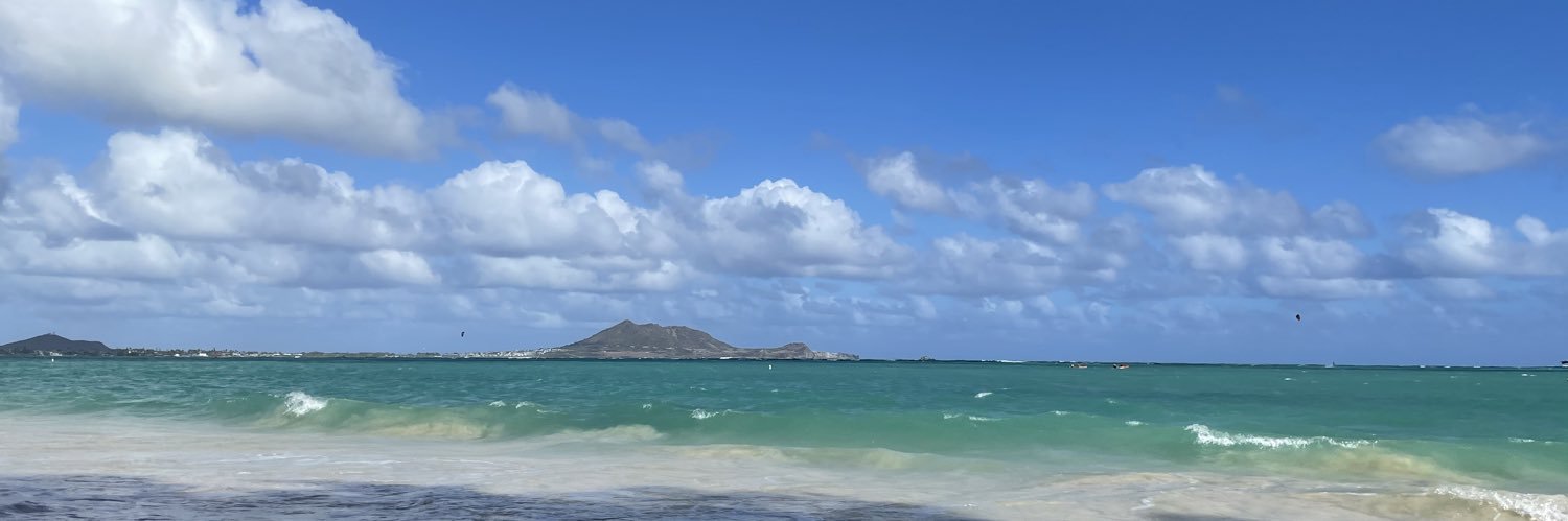 HawaiiIRL's profile banner image