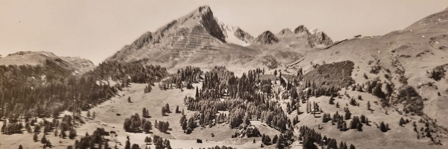 Fabio Crameri banner