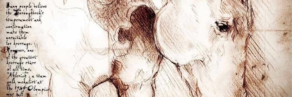 𝕬𝖉𝖗𝖎 𝕻𝖆𝖚𝖑𝖆 banner