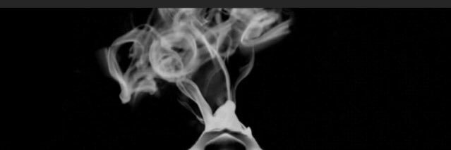 Putaghjone #JeSuisForcené banner