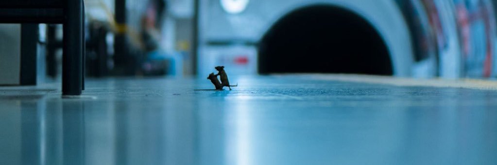 SmartTobias's profile banner image
