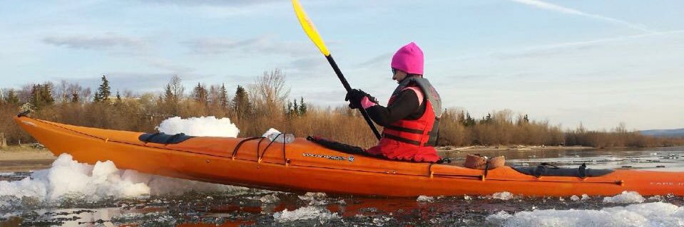 Danielle Larivee banner
