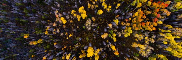 BmoreExposed Profile Banner