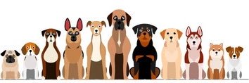 danielleddk's profile banner image