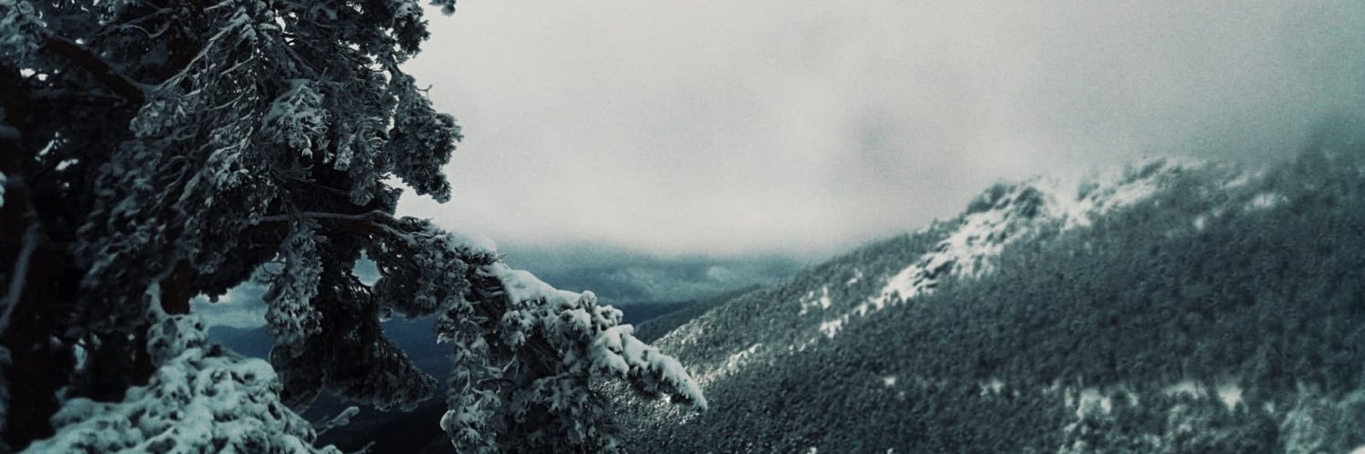 RLProducer's profile banner image