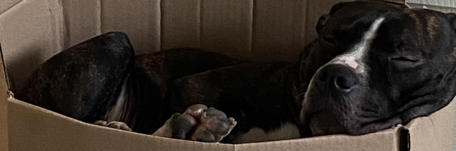 edbeans's profile banner image