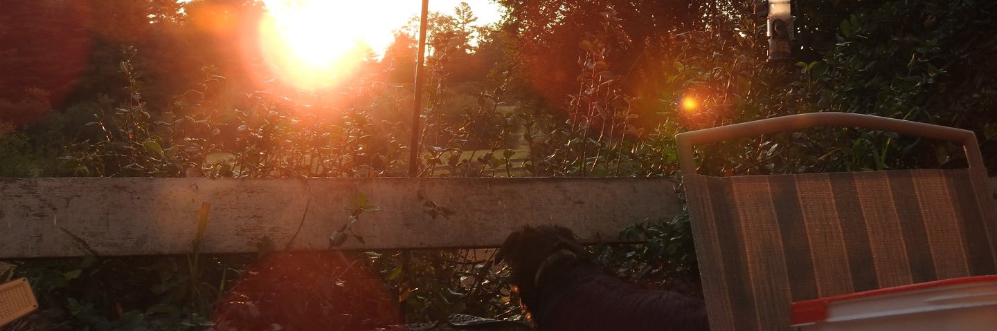 MariaAndriote's profile banner image