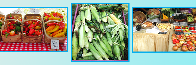 Hendricks PU Ext banner