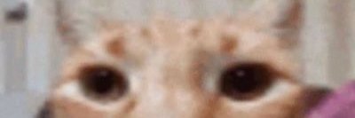 Apoxy0's profile banner image