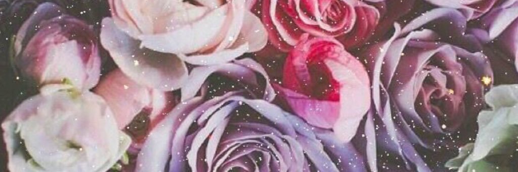 bnl0023's profile banner image