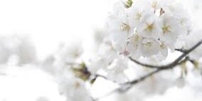 sarahcleary7's profile banner image