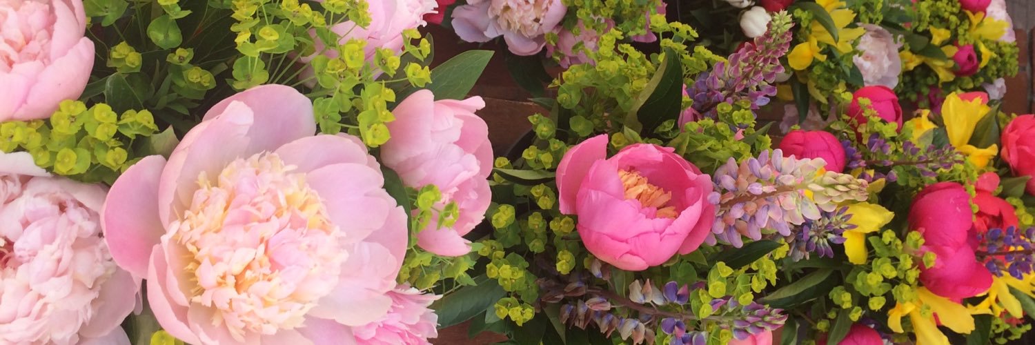 Jorie88's profile banner image