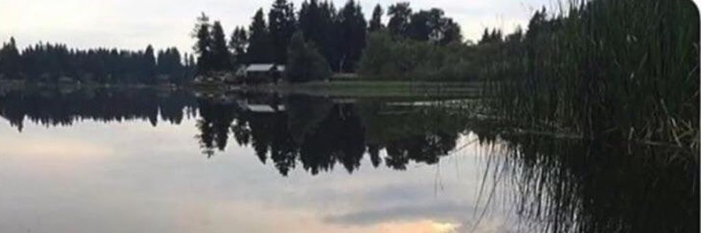 oskarjohrob's profile banner image