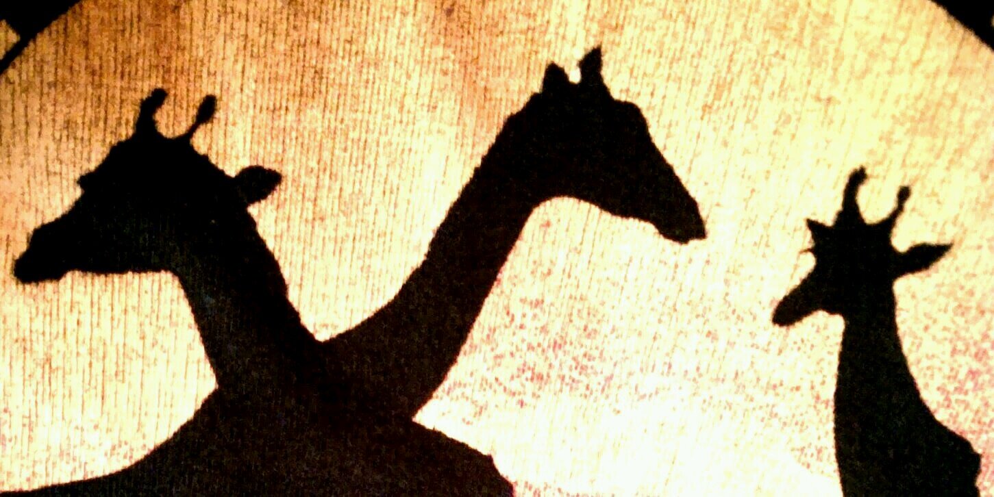 steiner_ralph's profile banner image