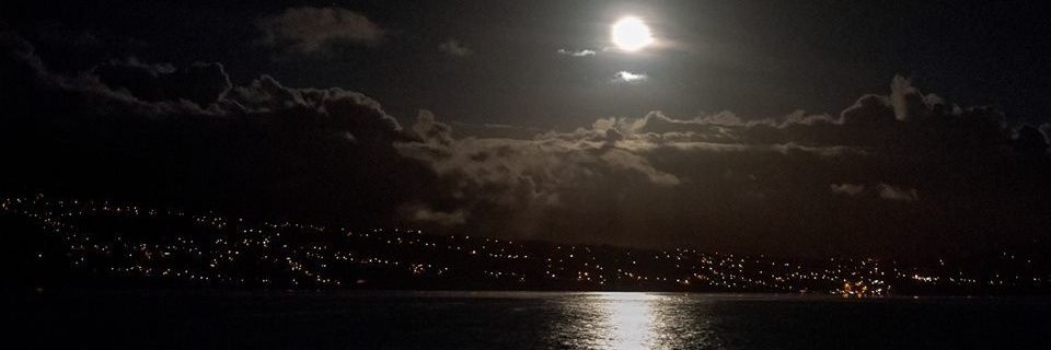 TearsOfGypsy's profile banner image