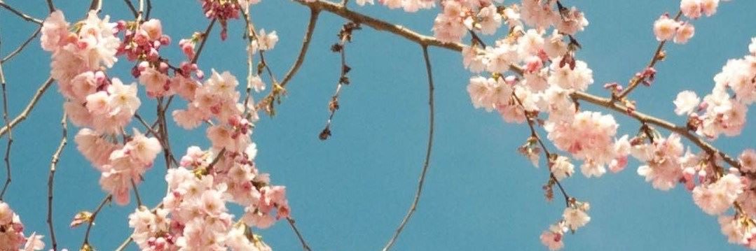 callmepaulina's profile banner image