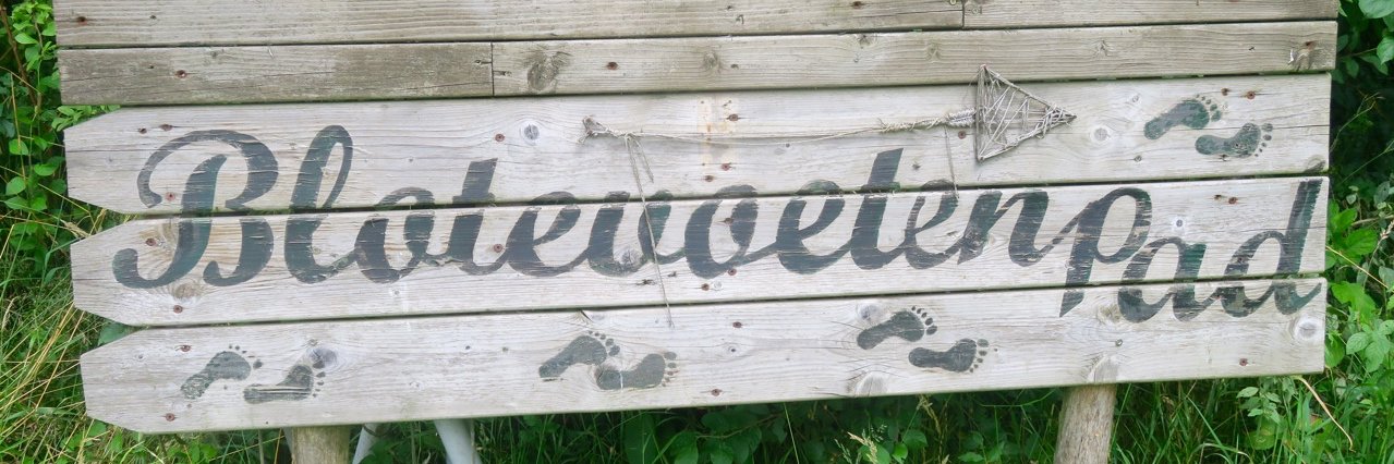 tbrakeltbe's profile banner image