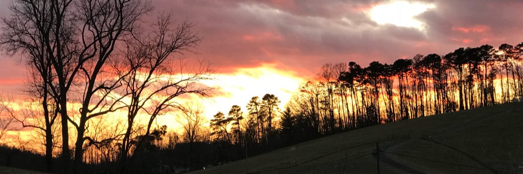 Moore_Sonja's profile banner image